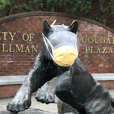 Profile Picture of David Shier (@DavidShierWSU) on Twitter