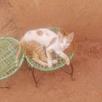 هندوي عسلو - Facebook Profile Picture of هندوي عسلو (@هندوي-عسلو) on Facebook