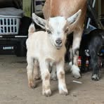 Profile Picture of Skinny Williams (@Skinny-Williams) on Facebook