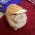 Profile Picture of 🎀 PRINCESS MATTHEW 👸 (@pumpkin_spice_starbucks_life) on Instagram