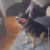 Profile Picture of Jennifer Thurman (@@jennifer.allen69) on Tiktok