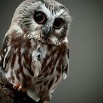 Profile Picture of Benjamin Liese (@benjamin_liese06) on Instagram