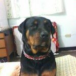 Profile Picture of Jesus David Rivero Feldmeier (@davidjesus_20) on Instagram