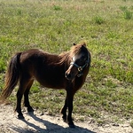 Profile Picture of Brent Davis (@b_davis11) on Flickr