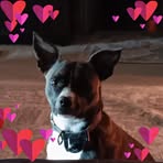 Profile Picture of Edward Masters (@edward.masters.714) on Facebook