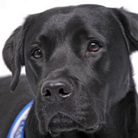 Profile Picture of Thomas Gemmer (@thomas-gemmer) on Quora