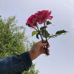 Profile Picture of Ámina Hakim (@_amina_hakim) on Instagram