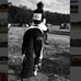 Profile Picture of Grace Gordon Eventing (@gracegordon.eventing) on Facebook