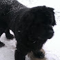 Profile Picture of Linda Dunham (@@colenoble) on Tiktok