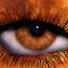 Profile Picture of Daniel Westerlund (@daniel.westerlund.549) on Facebook