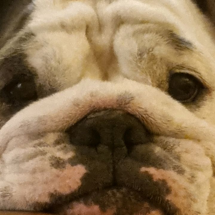 Profile Picture of Roxanne Wallace603 (@roxannewallace0) on Tiktok