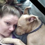 Profile Picture of Amanda O'Neal Sullivan (@luckylaree) on Instagram