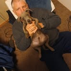 Profile Picture of Gerald Ward (@intruder9008) on Facebook