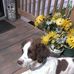 Profile Picture of April Engstrom Gauthier (@april.e.gauthier) on Facebook