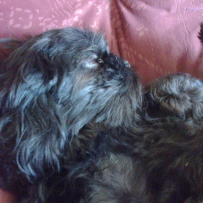 Profile Picture of Garry Millard (@GarryMillard3) on Twitter