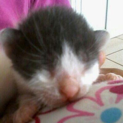 Mahdiyya Beemath - Twitter Profile Picture of Mahdiyya Beemath (@a3a0ab75b71243f) on Twitter