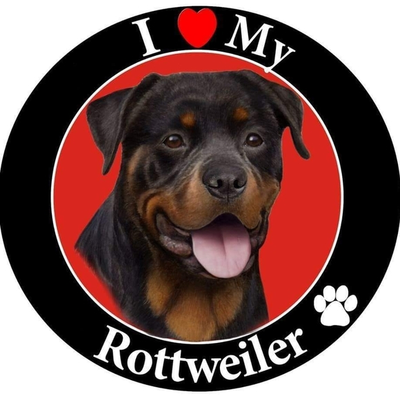 Profile Picture of Meghann Hagerbaumer (@mysoyer11) on Poshmark