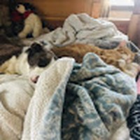 Profile Picture of Itzel Sanchez (@itzel-sanchez-78) on Quora