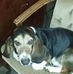 Profile Picture of Scott Hackett Sr (@scott.hackettsr) on Facebook