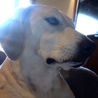 Profile Picture of Ruby Nelson (@ruby-nelson-37) on Quora