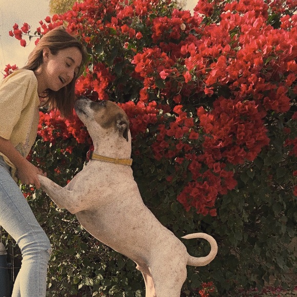 Profile Picture of Sophia Jagoda (@sophiajagoda) on Poshmark