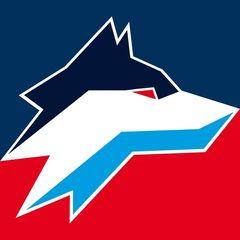 Profile Picture of adammatuschak (@adammatuschak) on Tiktok