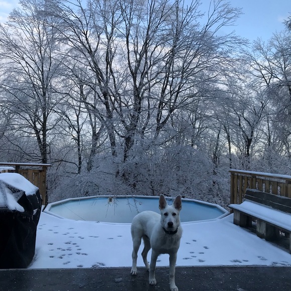 Profile Picture of Lauren Radley (@lradley) on Poshmark