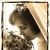 Profile Picture of Erika Blom Bitzer (@blombitzer) on Pinterest