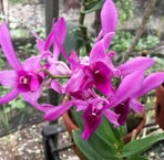 Profile Picture of Micah Jacob (@Micah-Jacob) on Facebook