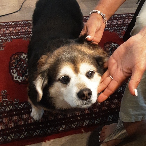 Profile Picture of Aurelia Brown (@herseymay1958) on Poshmark