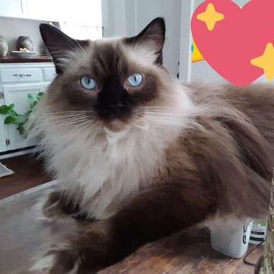 Profile Picture of Mommy Of Ki' And Woo Woo (@ConstanceAndino) on Twitter