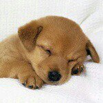 Profile Picture of Esther Yoo (@cutie_bubblepop_dreams) on Instagram