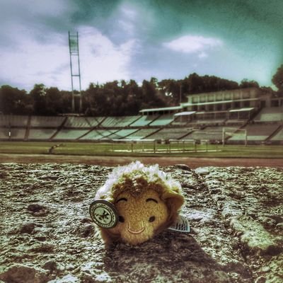 Profile Picture of Paul Kinlan🍀 (@KinlanPaul) on Twitter