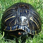 Profile Picture of Aiden Scott Aldridge (@aiden01609) on Instagram