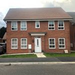 Michael&Holly’s Renovations🔨 - Instagram Profile Picture of Michael&Holly’s Renovations🔨 (@michol_renovations) on Instagram