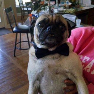 Profile Picture of Stephen Phillips (@stephen.phillips.902) on Facebook