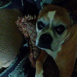 Profile Picture of Charlie Huff (@charlie.huff.3990) on Facebook