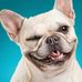 Profile Picture of Annemarie Petitjean (@annemarie.petitjean.58) on Facebook