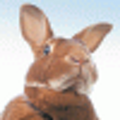 Profile Picture of Darrell Moyer (@luluchibib) on Twitter