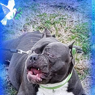 Profile Picture of Chad Leonard (@BALLER411399) on Facebook