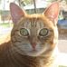 Profile Picture of Connie Beitey (@connie.beitey) on Facebook