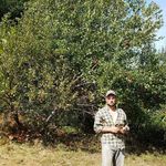 Profile Picture of Dan Sorrells (@dansorrells) on Instagram