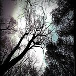 Profile Picture of LORRIE MCCONNELL (@hamptonmollusc) on Instagram