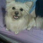 Profile Picture of rosa (@rosatorrez) on Instagram