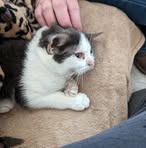 Profile Picture of Fern Mullins (@fern.mullins.2025) on Facebook