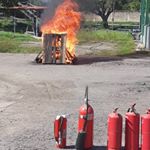 Profile Picture of Yelitza Gonzalez (@vivir_seguridad_saludo) on Instagram