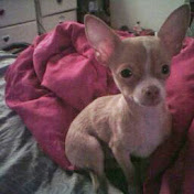 Profile Picture of Savanna Ramirez (@savannaramirez705) on Youtube