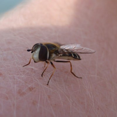 Profile Picture of Matthew Yardley (@MatthewYardley1) on Twitter