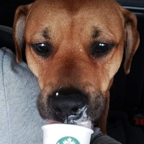 Profile Picture of Taylor Mccann (@tajaw14) on Poshmark