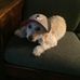 Profile Picture of Chris Dietrich (Christyle) (@chris.dietrich.526) on Facebook